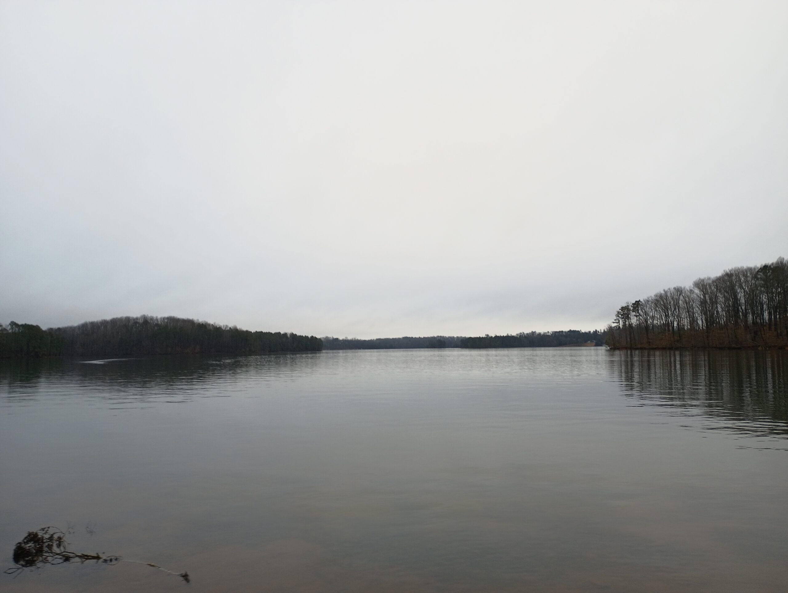 CHARLESTON PARK 4.3 MILE TRAIL RUN